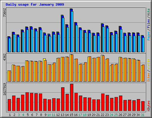 Daily usage for January 2009