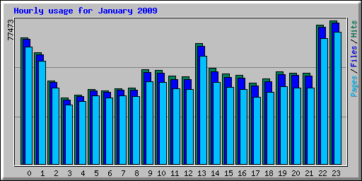 Hourly usage for January 2009