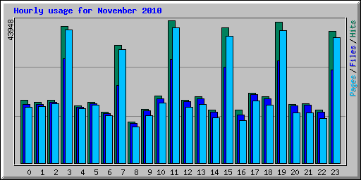Hourly usage for November 2010